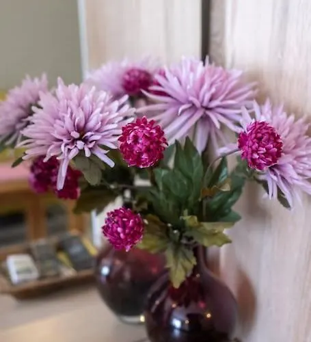 Treti Mart South 普里莫尔斯科